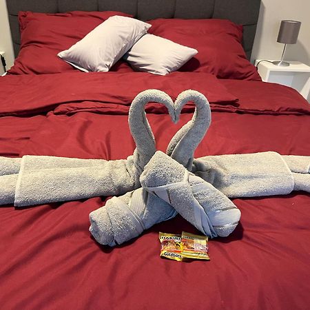 Studio Am Waldschloesschen Mit Kueche Und Netflix دريسدن المظهر الخارجي الصورة